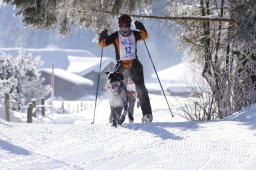 Lenk 2013